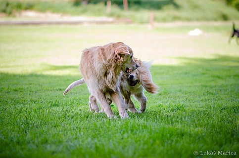 DSC_9476.jpg