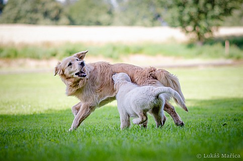 DSC_9492.jpg
