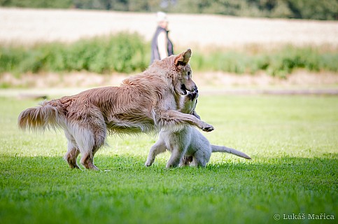 DSC_9501.jpg