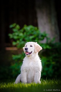 DSC_9551.jpg