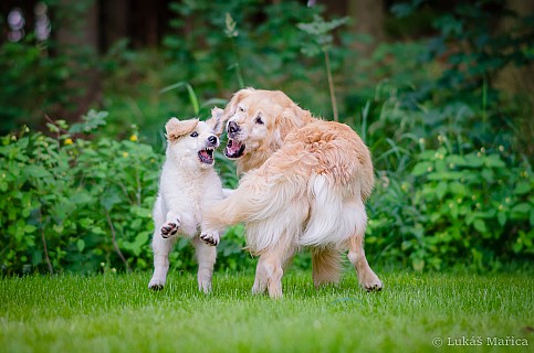 DSC_9620.jpg