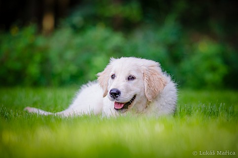 DSC_9644.jpg