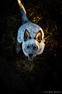 DSC_1864.jpg