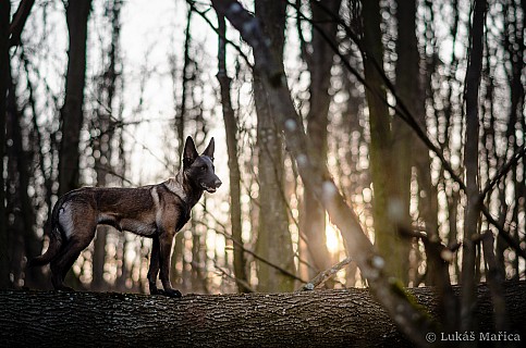 DSC_1545-2.jpg