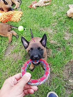 IMG_20200710_184056_1.jpg
