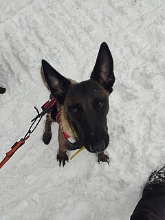 IMG_20220129_131240.jpg