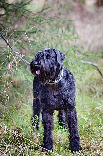 DSC_0897.jpg