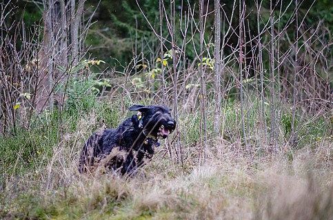 DSC_0905.jpg