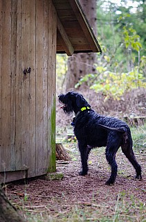 DSC_0912.jpg