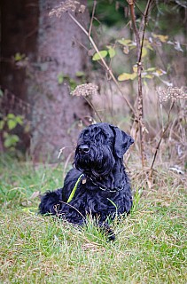 DSC_0927.jpg
