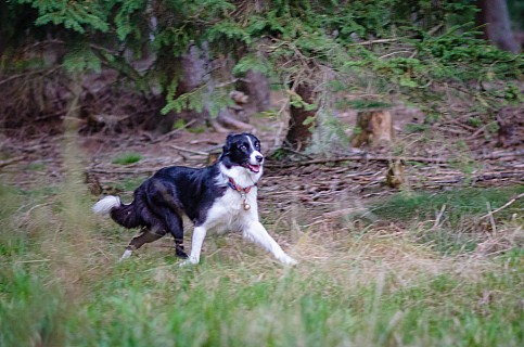 DSC_0958.jpg