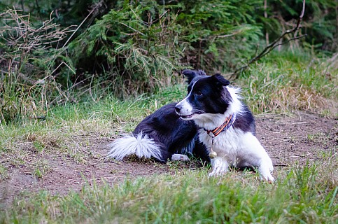 DSC_0962.jpg