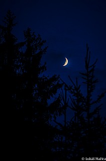 DSC_1009.jpg