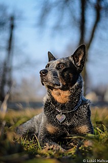 DSC_2418