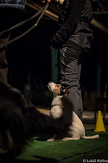 DSC_4150