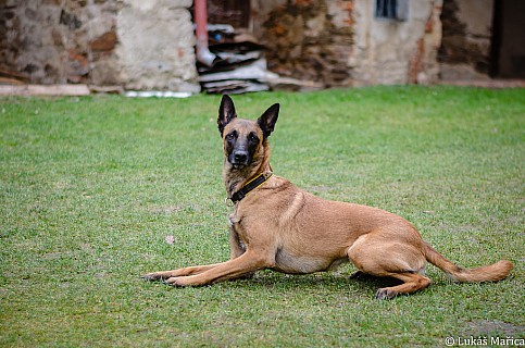 DSC_8505