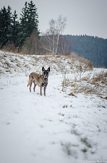 DSC_7775
