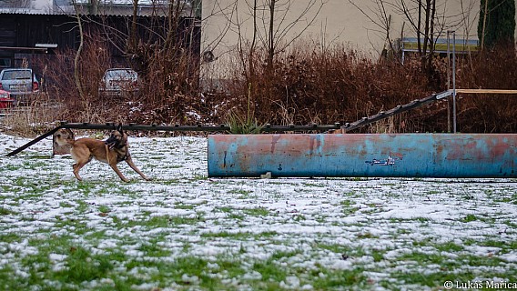 DSC_8174