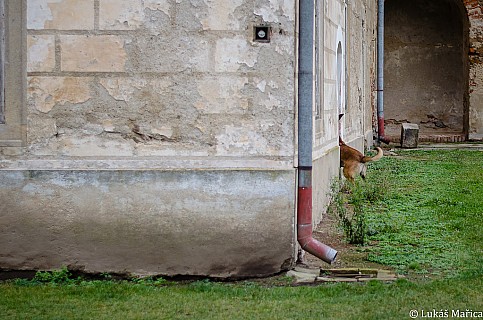 DSC_8629