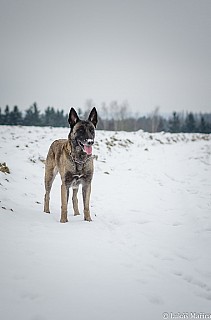 DSC_7746