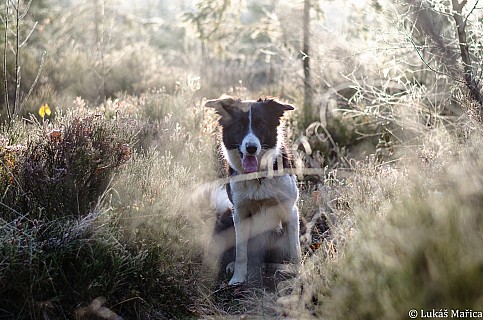 DSC_2285.jpg