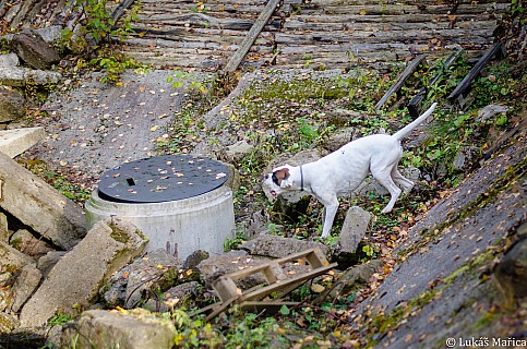 DSC_2414.jpg