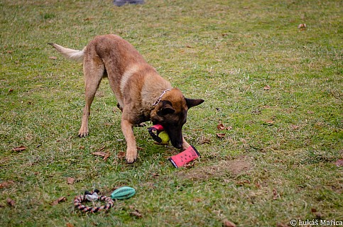 DSC_4227.jpg
