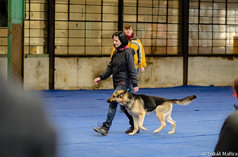 DSC_6720.jpg
