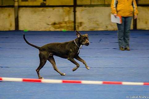 DSC_6942.jpg