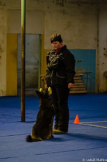 DSC_7100.jpg