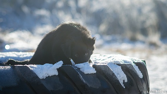 DSC_1230.jpg