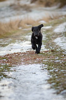 DSC_1326.jpg