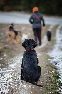 DSC_1353.jpg