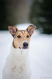 DSC_2065.jpg