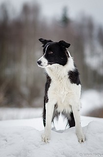 DSC_2122.jpg