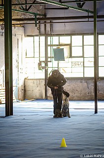 DSC_2399.jpg