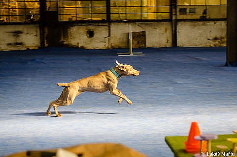 DSC_2453.jpg