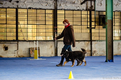DSC_2470.jpg