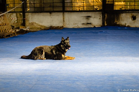 DSC_2477.jpg