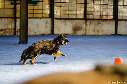 DSC_2482.jpg