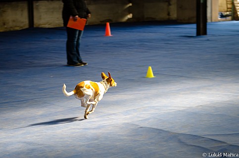 DSC_2497.jpg