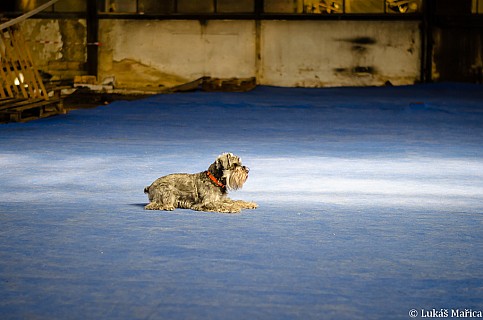 DSC_2595.jpg