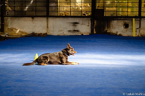 DSC_2612.jpg