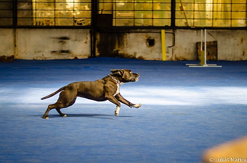 DSC_2644.jpg