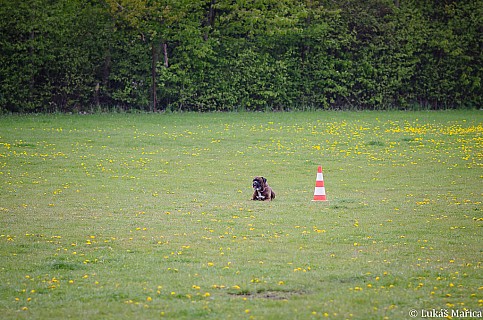 DSC_3627.jpg