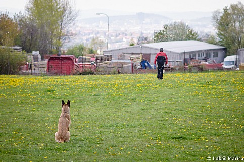 DSC_3641.jpg