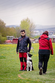 DSC_3695.jpg