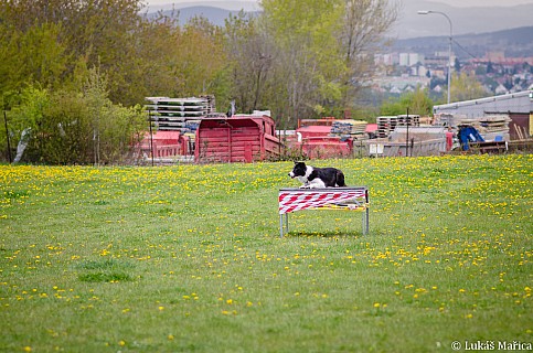DSC_3699.jpg