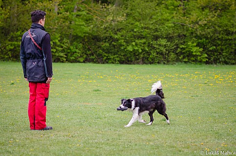 DSC_3705.jpg