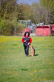 DSC_3721.jpg